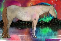 Horse Color:Bay Pearl Dun Rabicano 