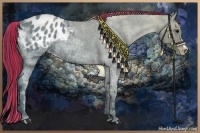 Horse Color:Painted Blue Ice Roan Appaloosa