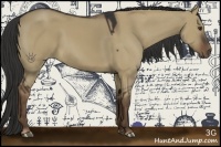 Horse Color:Liver Red Dun Sabino 