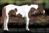 Horse Color:Liver Chestnut Tobiano 