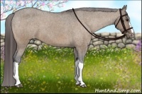 Horse Color:Bay Dun Varnish Brindle 
