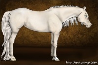 Horse Color:Gold Cream Champagne Pearl 