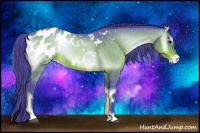 Horse Color:Watercolor Bay Onyx Appaloosa