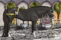 Horse Color:Liver Chestnut Sabino 