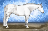 Horse Color:Gray White Spotted Bay Splash Tobiano 