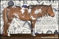 Horse Color:White Spotted Liver Chestnut 