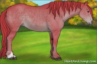 Horse Color:Watercolor Liver Chestnut Sabino