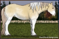 Horse Color:White Spotted Palomino Dun Tobiano 