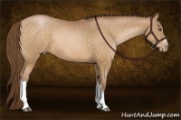 Horse Color:Brown Pearl 