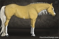 Horse Color:White Spotted Silver Smoky Black