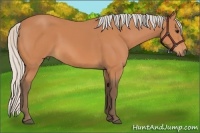 Horse Color:Silver Bay