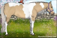 Horse Color:Silver Buckskin Dun Tobiano 