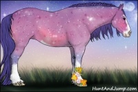 Horse Color:Watercolor Bay Sabino 