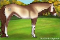 Horse Color:Red Onyx 