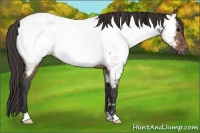 Horse Color:Brown Dun Near Fewspot Brindle 
