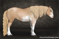 Horse Color:Chestnut Pearl Sabino Rabicano