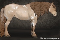 Horse Color:White Spotted Brown Roan Pearl Rabicano 