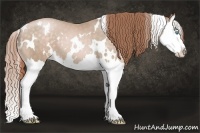 Horse Color:White Spotted Buckskin Pearl Splash 