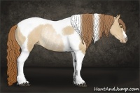 Horse Color:Red Dun Pearl Tobiano Rabicano 