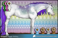 Horse Color:Painted Watercolor White Spotted Sable Champagne Onyx Sabino Splash