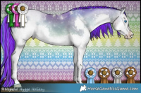 Horse Color:Painted Watercolor White Spotted Sable Champagne Onyx Sabino Splash