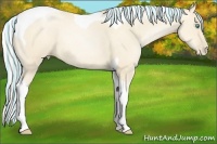 Horse Color:Painted Silver Classic Cream Champagne Pearl Tobiano 