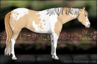 Horse Color:Gold Champagne Splash Tobiano 