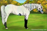 Horse Color:ERROR: UNKNOWN ANOMALY and ERROR: UNKNOWN ANOMALY