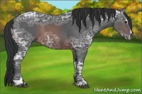 Horse Color:Brown Ice Sabino Rabicano 