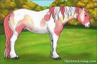 Horse Color:Watercolor Liver Red Onyx Tobiano Rabicano