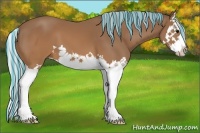 Horse Color:Painted Silver Brown Splash 