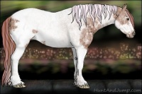 Horse Color:Painted Chestnut Ice Tobiano Frame 