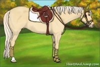 Horse Color:Palomino Roan 