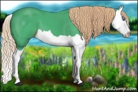 Horse Color:Watercolor Liver Chestnut Splash 