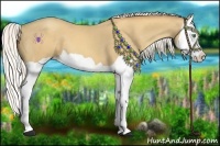 Horse Color:Silver Sable Cream Champagne Splash 