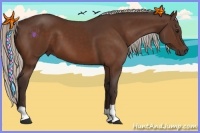 Horse Color:Silver Brown 
