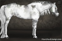 Horse Color:White Spotted Silver Smoky Blue Onyx Chinchilla 