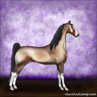 Horse Color:Brown Onyx Brindle