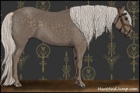 Horse Color:Silver Black 