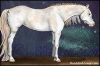 Horse Color:Nacre White Spotted Gold Champagne Splash Appaloosa