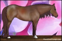 Horse Color:Chocolate Brown 