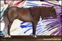 Horse Color:Chocolate Brown 