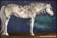 Horse Color:White Spotted Silver Blue Onyx Splash and Silver Blue Onyx Sabino