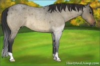 Horse Color:Bay Roan Dun Rabicano Brindle 