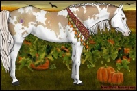 Horse Color:White Spotted Silver Classic Champagne Splash 