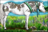 Horse Color:White Spotted Silver Black Splash 