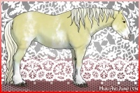 Horse Color:Watercolor White Spotted Chestnut Rabicano 
