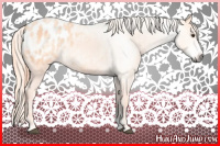 Horse Color:Gray Watercolor Chestnut Blanket 