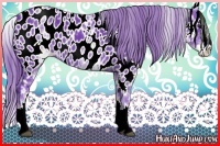 Horse Color:Watercolor White Spotted Black Splash Appaloosa 