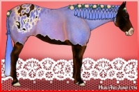 Horse Color:Watercolor Brown Splash Appaloosa 